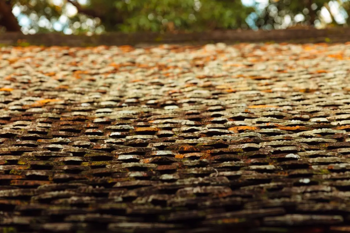 Aging shingle roof with moss growth and granule loss in Farmington, NM
